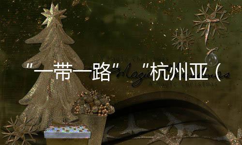 “一带一路”“杭州亚（残）运会”主题图形印展亮相杭州