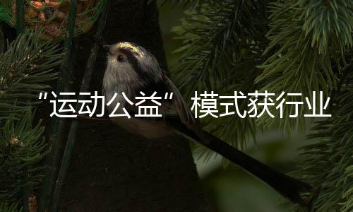 “运动公益”模式获行业认可，Keep荣获第十三届公益节两大奖项