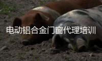 电动铝合金门窗代理培训