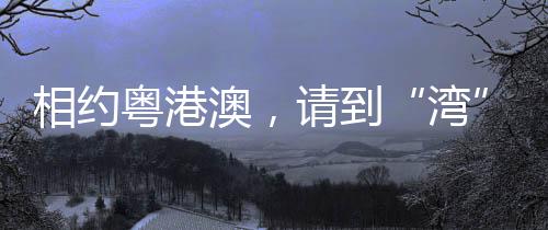 相约粤港澳，请到“湾”里来——写在十五运会开幕倒计时100天之际