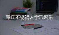 章丘不锈钢人字形网带