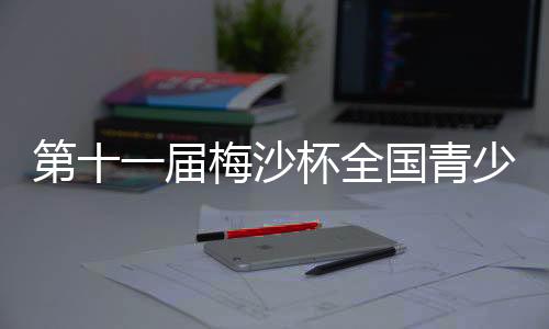 第十一届梅沙杯全国青少年帆船联赛厦门站开赛