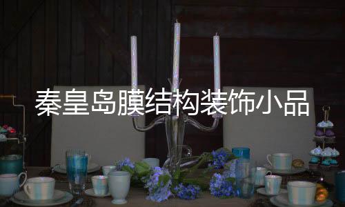 伟晴大健康呼吸机***安装