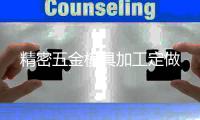 精密五金模具加工定做