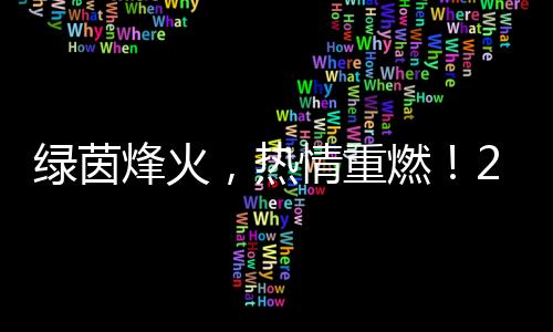 绿茵烽火，热情重燃！2024中国网络媒体足球精英赛开幕