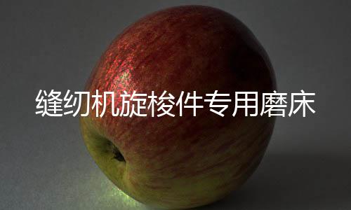缝纫机旋梭件专用磨床