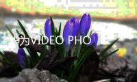 华为VIDEO PHONE8950