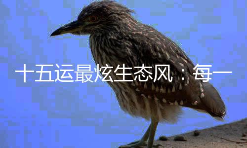 十五运最炫生态风：每一头白海豚，都是游动的GDP