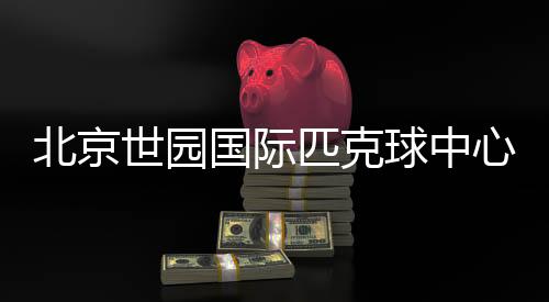 北京世园国际匹克球中心成立 助力匹克球文化普及