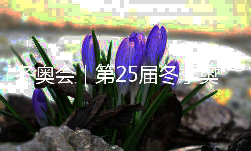 冬奥会｜第25届冬季奥林匹克运动会在意大利维罗纳闭幕