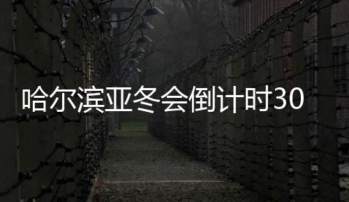 哈尔滨亚冬会倒计时30天：冰雪同梦亚洲共期待