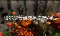 哈尔滨普通教学桌椅/学生学习桌椅/中信办公出品