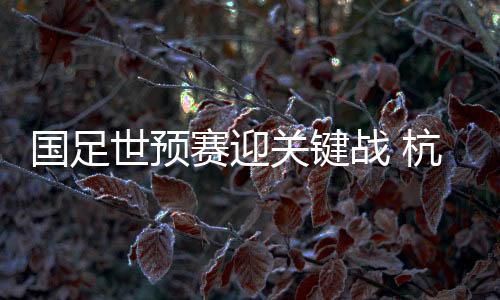 国足世预赛迎关键战 杭州主场花式“宠”球迷