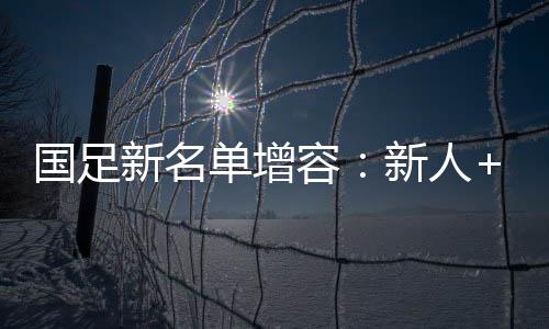 国足新名单增容：新人+归化 31人入选“伊万一期”