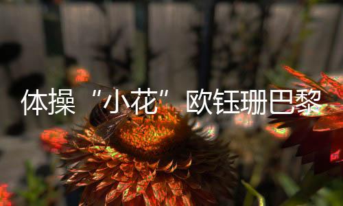 体操“小花”欧钰珊巴黎留憾 母亲：她从没打过退堂鼓