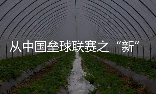 从中国垒球联赛之“新” 看国内垒球发展沉淀之“果”