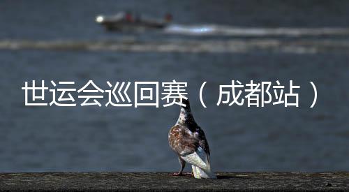 世运会巡回赛（成都站）收官 IWGA主席：成都已经准备好了