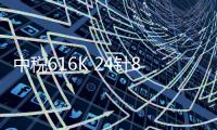 中税616K 24针82列税控打印机
