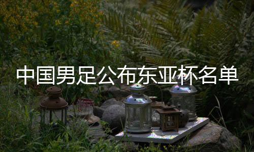 中国男足公布东亚杯名单 新周期显现年轻化进程