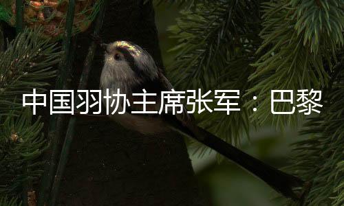 中国羽协主席张军：巴黎奥运会争金夺银更有信心