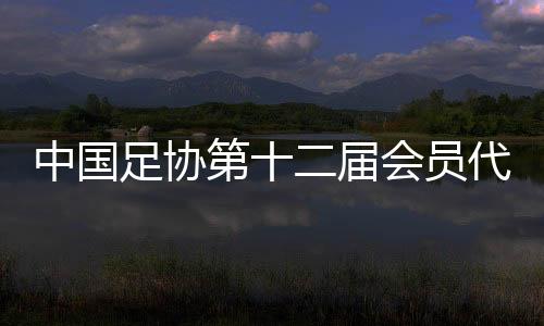 中国足协第十二届会员代表大会第三次会议在京召开