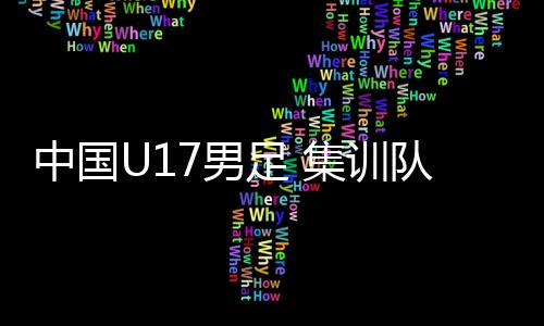 中国U17男足 集训队名单公布 河南星途前锋张伯霖入选