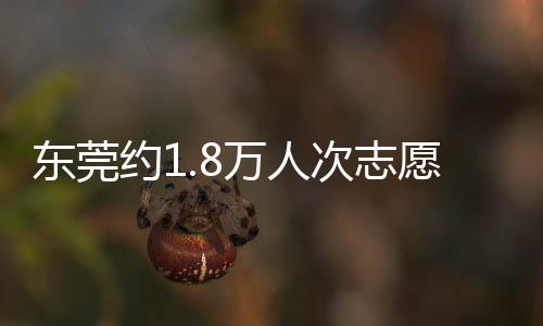 东莞约1.8万人次志愿者将投入十五运会和城市服务
