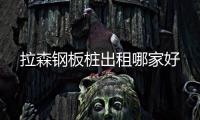 拉森钢板桩出租哪家好