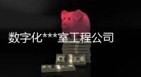 数字化***室工程公司