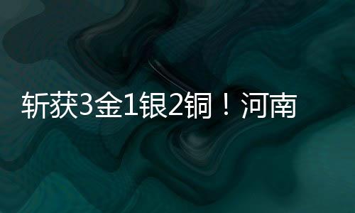 斩获3金1银2铜！河南选手出彩2025年全国跆拳道冠军总决赛