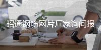 昭通钢筋网片厂家询问报价