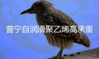 普宁自润滑聚乙烯高承重铺路板