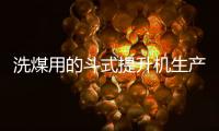 洗煤用的斗式提升机生产厂家