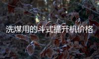 洗煤用的斗式提升机价格