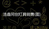 浩鑫同创灯具销售(图)