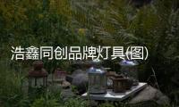 浩鑫同创品牌灯具(图)