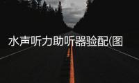 水声听力助听器验配(图)