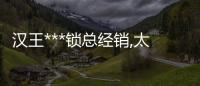 汉王***锁总经销,太原龙城科密,榆次***锁