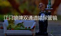江门狼牌双通道输尿管镜