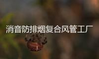 消音防排烟复合风管工厂