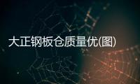 大正钢板仓质量优(图)