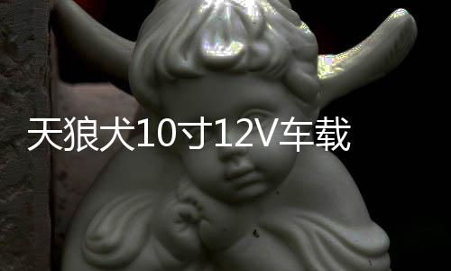 天狼犬10寸12V车载有源音响汽车低音炮超大功率蓝牙音箱功放喇叭