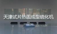 天津试片热固成型硫化机