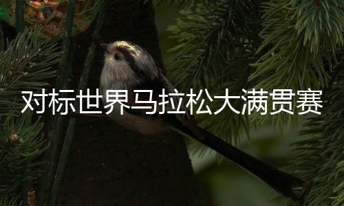 对标世界马拉松大满贯赛事 上海马拉松增设竞速轮椅马拉松项目