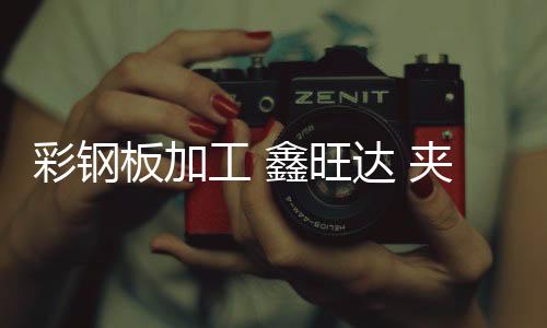 哪里有聚乙烯链条导轨