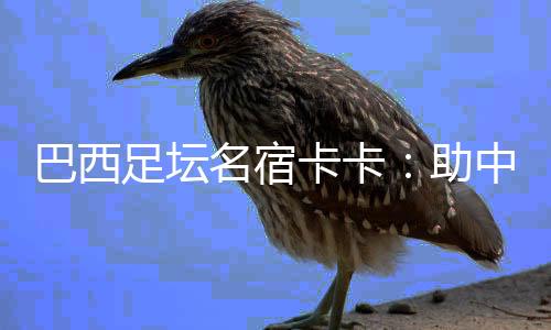 巴西足坛名宿卡卡：助中国青少年追逐“足球梦”
