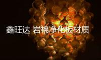 鑫旺达 岩棉净化板材质 净化板尺寸