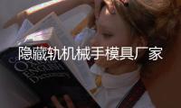 隐藏轨机械手模具厂家