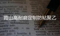 霞山高耐磨定制防粘聚乙烯衬板