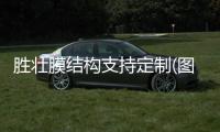 胜壮膜结构支持定制(图)